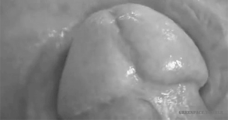 600058c52c3313f90ec19883ee748db9