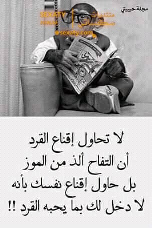 151035647 172898261263798 3011105135362242618 n