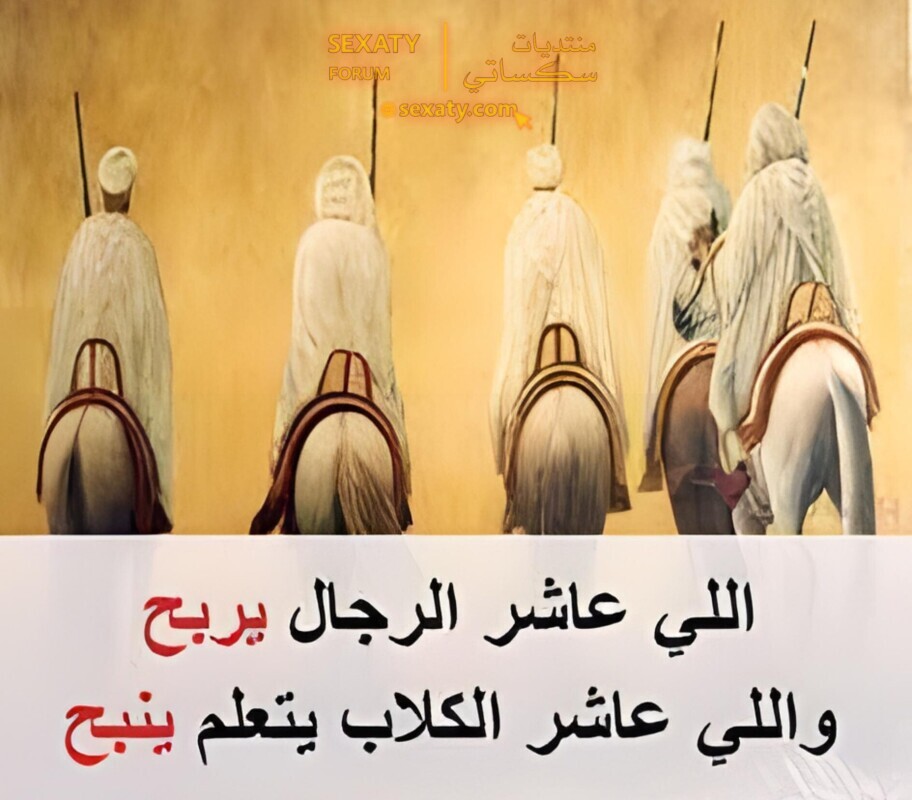 18217007 1253048388137875 672231812 n copy ٠٧٥١١٦